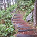 제주 올레길 6코스 이미지