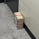 보냇디 | [카카오톡선물하기] 「보냇디 토끼인형 모듬케이크」 후기