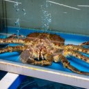 삼삼수산 이미지