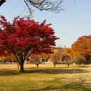 천천래미안 공인중개사사무소 이미지
