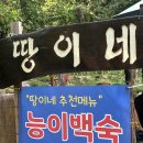 땅이네집 | 서울 근교 과천역 근처 계곡과 백숙집 솔직 후기[땅이네집]