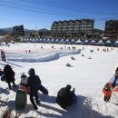 2018 세계청년축제 이미지