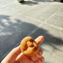 미드미 | 고속도로 간식 추천 | 충주휴게소 양평방향 미드미사과빵 리얼후기