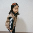 포마이베베
