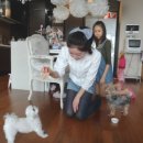 공차김포 이미지