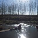 영림농장 이미지