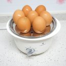 디온리 | 디온리 올스텐2단찜기 사용 후기, 반숙계란시간 맞춰 만들어봤어요