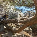 석영목장 이미지