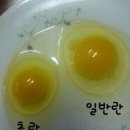 유나네 자연숲 농장 이미지