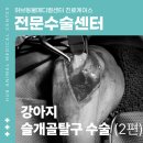 월산메디칼 네이버블로그