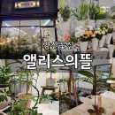 꽃뜰;식물가게 | 물금꽃집 앨리스의 뜰 양산식물가게 후기