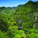 산수화로 Daum카페