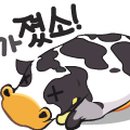 세상살이 이미지