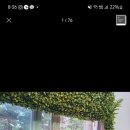 캠핑고양이 - 강남구 선릉로 420 | 캠핑고양이