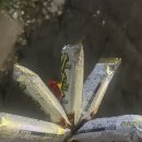 [야간] 삶을 변화시키는 에세이 쓰기 | 10월에 잘 될 사람 = 바로 나!