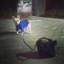 스파츄스 이미지