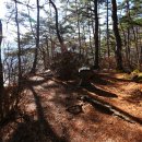 몰운대 등산로 입구 이미지