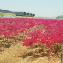 양감농장 이미지