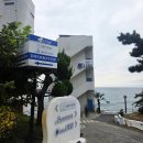 1703 | 포항 화진해수욕장 카페1703 후기 브런치 맛집 오션뷰 카페