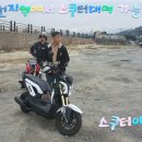 스쿠터꽃 이미지