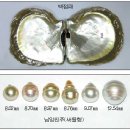 진주 - 여수시 좌수영로 16-6 | 진주