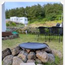 제주살가 이미지