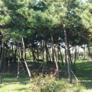 송림건축사사무소 이미지