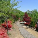 어사 박문수 테마길 이미지