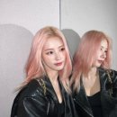 보그헤어 홍대점