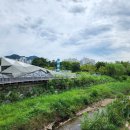 삼덕공원 이미지