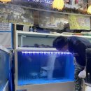 유신횟집 | [제주] 동문시장 살아있는 고등어 잡아서 바로 회떠주는 유신 횟집 아이스팩 채소모둠 내돈내산 솔직후기