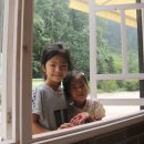 나무사이에 자연속으로 이미지