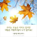 청심 이미지