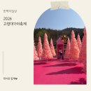 대가야 | 2026 고령대가야축제 아이랑 다녀온 후기