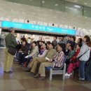 2024년 8월17일 토요일 출석부/중국 불교 성치 순례 편 이미지