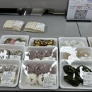 제10호 어린이공원 이미지