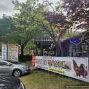 도토리민박 | 하동 계곡산장 삼성궁 근처 시골집st 정감있는 식당 도토리묵 신채비빔밥