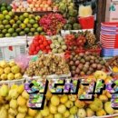 본촌초교 이미지