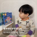 그림책으로 나누는 육아 정서(2) | 블루래빗 :: 우리 아이 첫 책육아, 놀이처럼 즐거운 블루래빗 팡팡 팝업북 내돈내산 후기