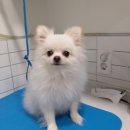 나보다 예쁘개 이미지