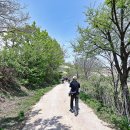 바우길 17구간 이미지