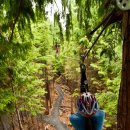 ​짜릿함의 끝판왕! 세계 최고의 짚라인 명소 이미지