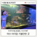 수산한우농장 | 여수 아이랑 가볼만한 곳 : 해양수산과학관, 화양면 맘편한 놀이터, 한우드림