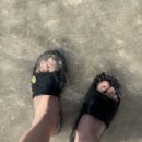 케이렌트카(주) 이미지