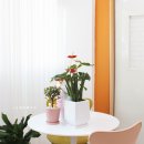 크로와즈 이미지