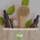 TCA 명품세탁전문점 더클리닝 행복세탁 | 명품운동화 세탁 후기 샤넬 믹스드파이버 스웨이드 신발 이염 제거