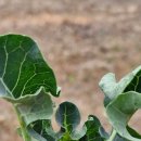 병환농장 이미지