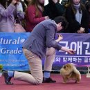 오구오구 이미지