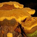 장승농장 이미지