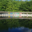 군자 낚시터 이미지